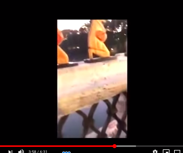 Roma, fedeli gettano nel Tevere gli idoli di Pachamama