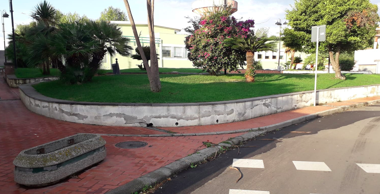 Lo strano caso di Ussana, trovati morti decine di piccioni e gatti: presto le analisi