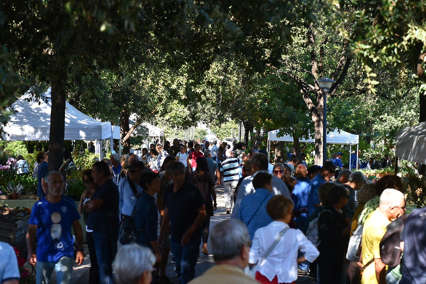 Cagliari, a Monte Claro tutti pazzi per Orti, arti e giardini con vivaisti da tutta Italia