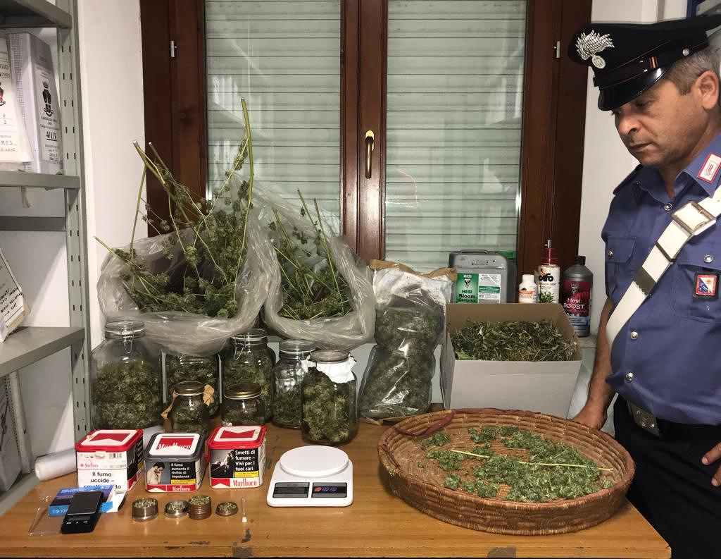 Droga in Trexenta, denunciate 11 persone: arrestato un uomo trovato con 3 kg di marijuana