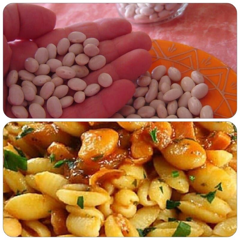 Dimagrire, i fagioli sardi e bianchi di Terraseo nella dieta: che buoni quei malloreddus…