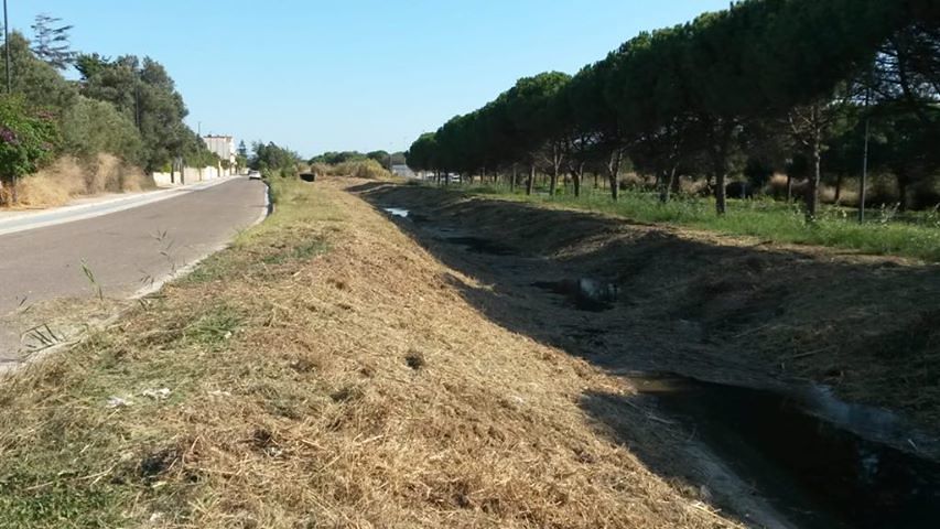 Monserrato, la giusta prevenzione: “Così stiamo già ripulendo i fiumi per evitare il rischio alluvioni”