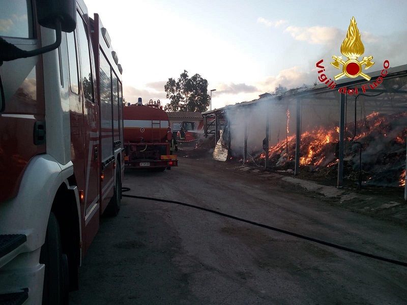 Paura a San Teodoro, incendio accanto alla spiaggia “La Cinta”