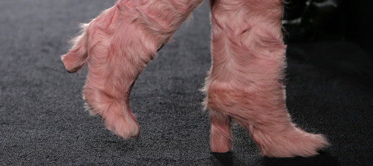 Indossa stivali di pelliccia: accoltellata da una donna animalista