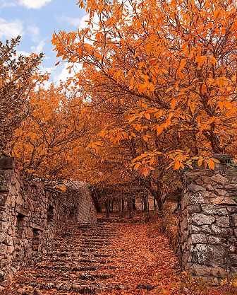 Cartoline dalla Sardegna: la magia dell’autunno a Fonni sul Monte Spada