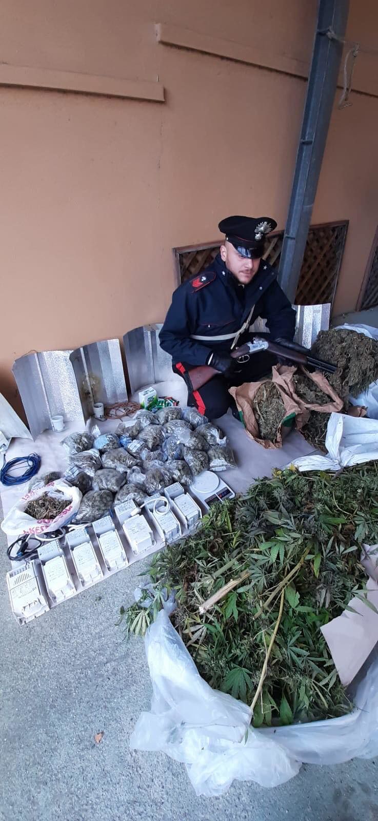 Seuni, nove chili di marijuana, 16 piante di cannabis e un fucile in casa: in manette 25enne