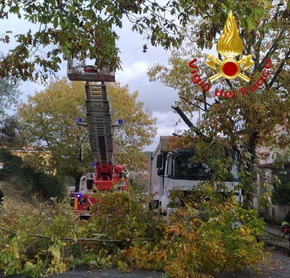 Nuoro, si stacca il tronco di un albero e cade su un mezzo del servizio rifiuti