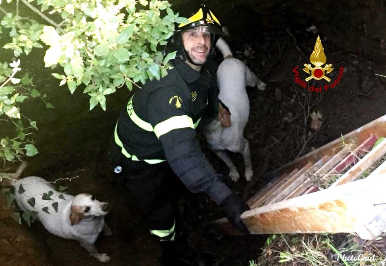 Iglesias, due cani precipitano in una cavità naturale profonda due metri: salvati dai vigili del fuoco