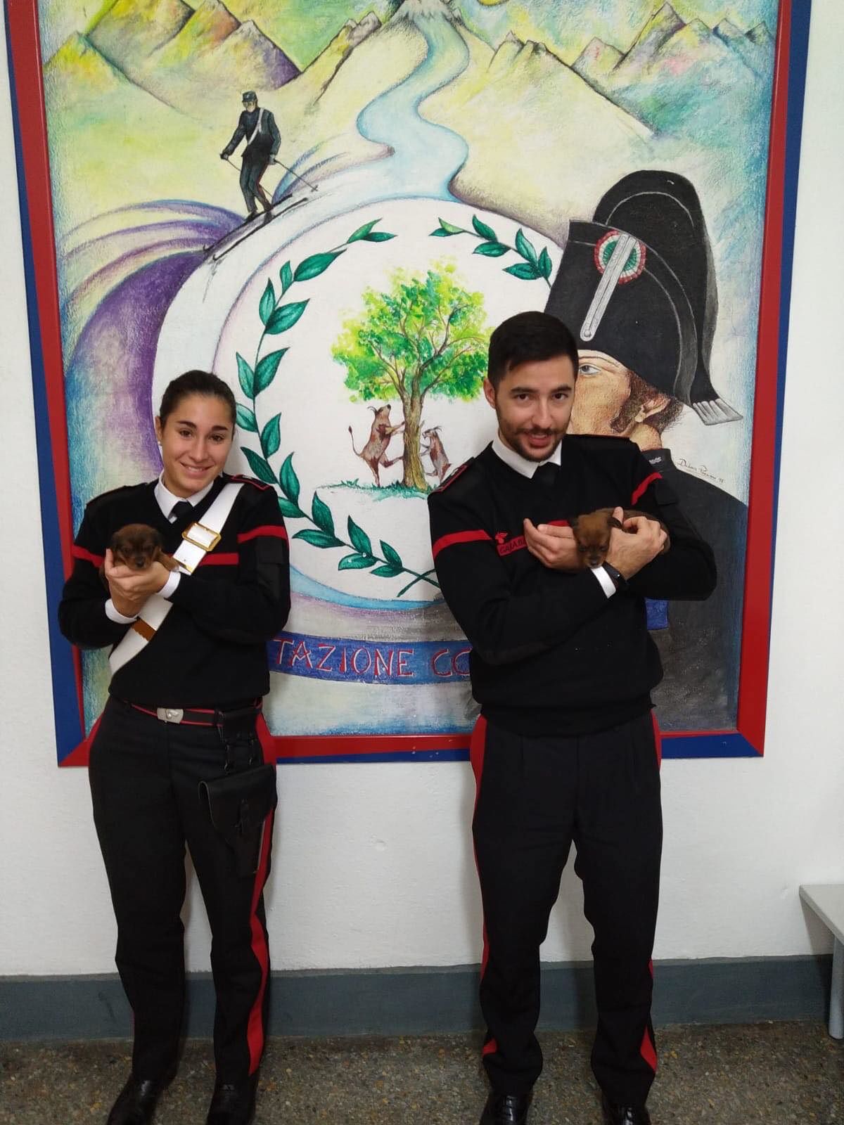 Fonni, trova due cuccioli abbandonati sul ciglio della strada e chiama i carabinieri: salvati