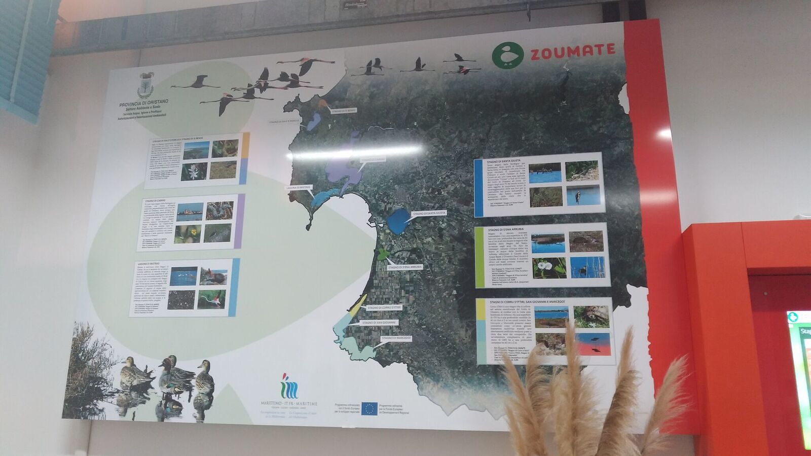 Giornata degli alberi, piantate 100 essenze della flora mediterranea