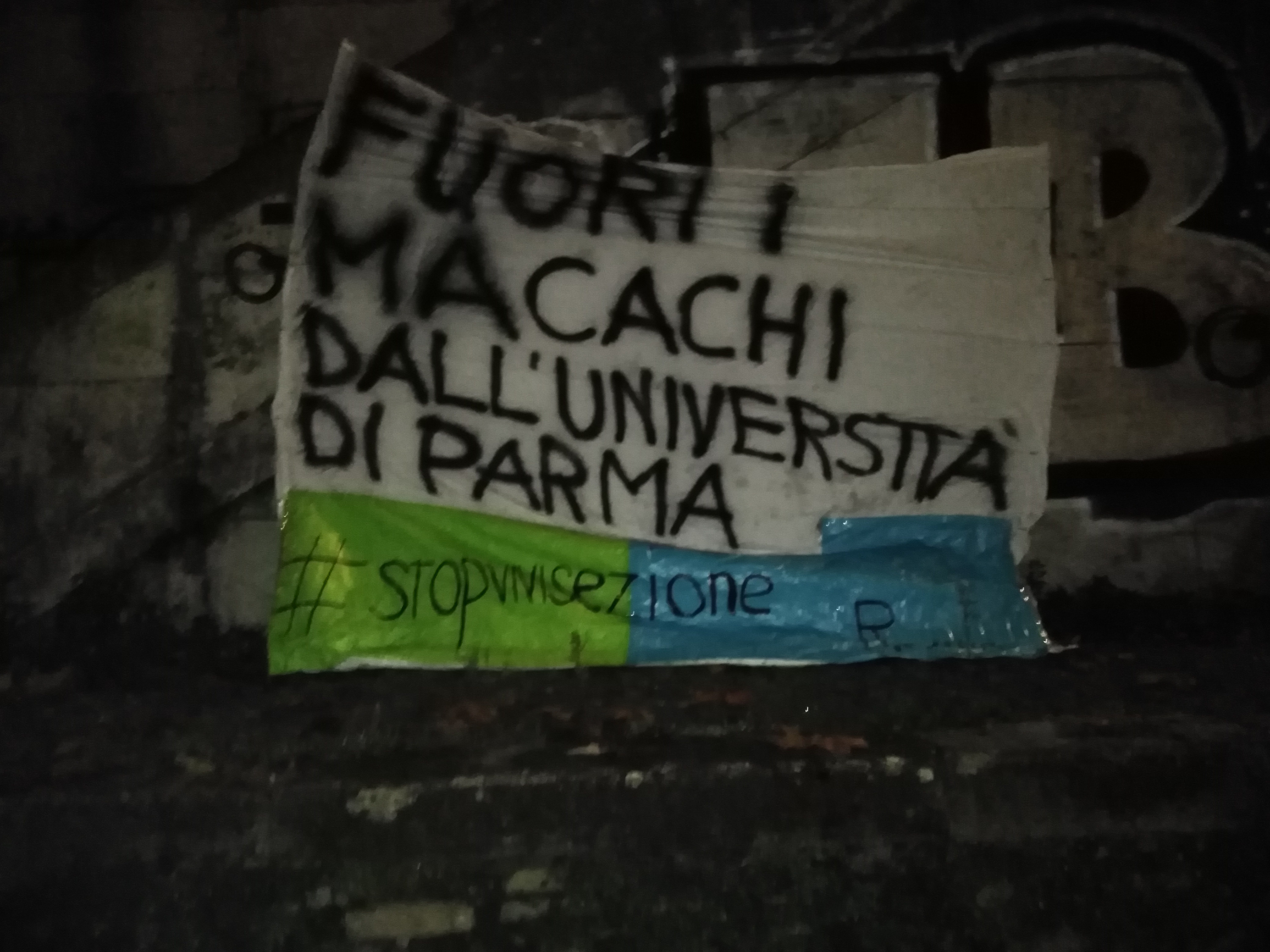 Parma, blitz animalista all’Università: attivisti occupano il tetto e appendono striscioni in tutta Italia