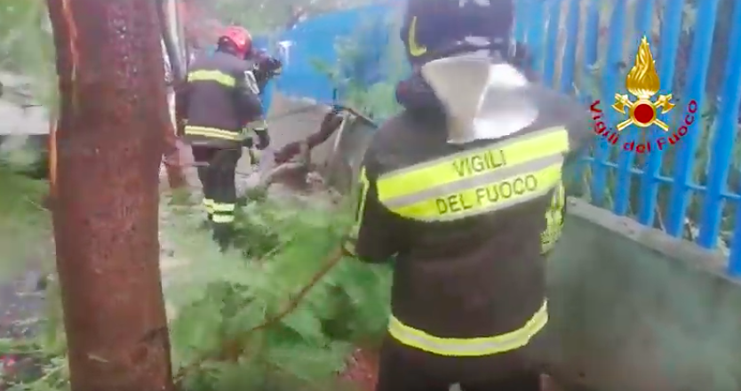 Via Del Sole, ramo crolla sulla strada vicino alla scuola: intervento dei vigili del fuoco