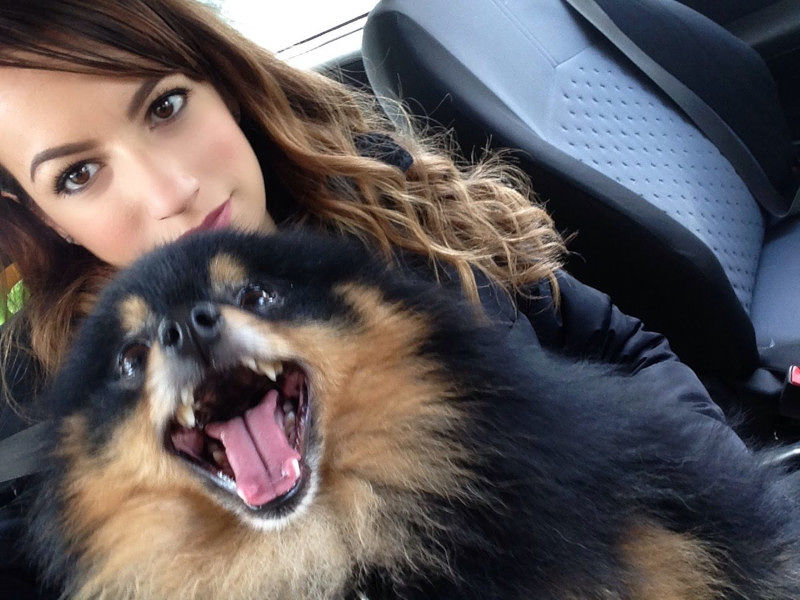 Elmas, il racconto choc: “Il mio Jack ucciso a morsi da un cane senza guinzaglio”