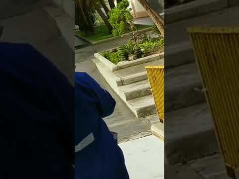 Alberghiero di Monserrato, i topi ballano nei laboratori di cucina: stupenti pronti alla clamorosa protesta