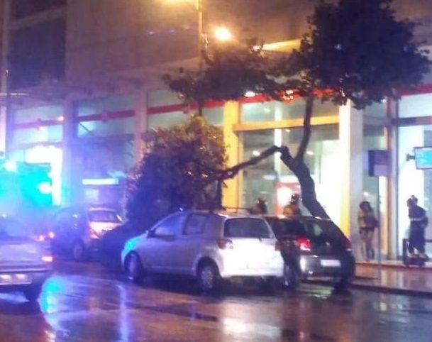 Il maltempo scuote Cagliari, paura in via Dante: albero crolla su due auto