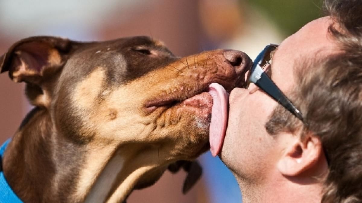 Muore dopo una leccata del suo cane: tragedia in Germania