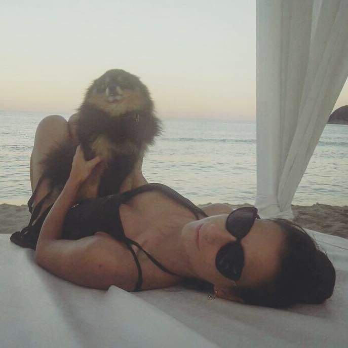 “Ciao mio piccolo Jack super eroe, se esiste un paradiso per i cani avrai tante palline per giocare”