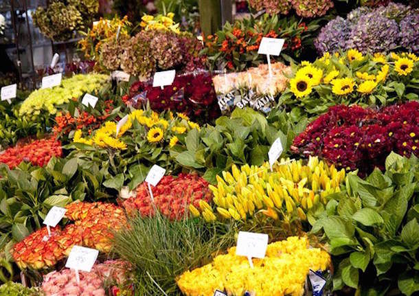 Cagliari, lotta al degrado in piazza Carmine: dopo l’infopoint arriva il mercato dei fiori e delle erbe