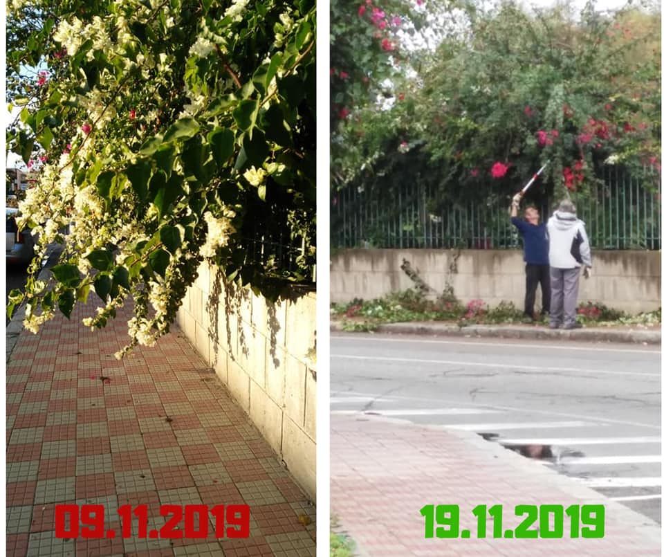 Via Galvani, vincono i cittadini: loro chiamano, il Comune interviene e pota le siepi invadenti