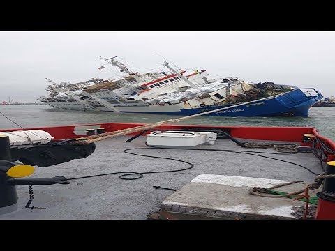 Nave mercantile che trasportava 14 mila pecore si è ribaltata nel mar Nero  – VIDEO