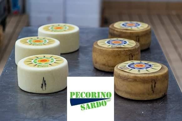 La risposta ai dazi di Trump: il pecorino della Sardegna conquista New York
