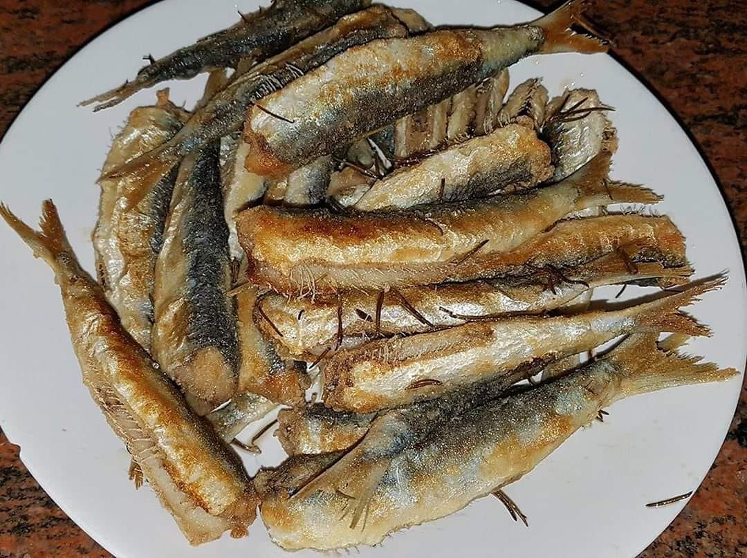 Sardinesardeinmovimento, boom su Fb: “Pronti a scendere in piazza nell’Isola contro Salvini”