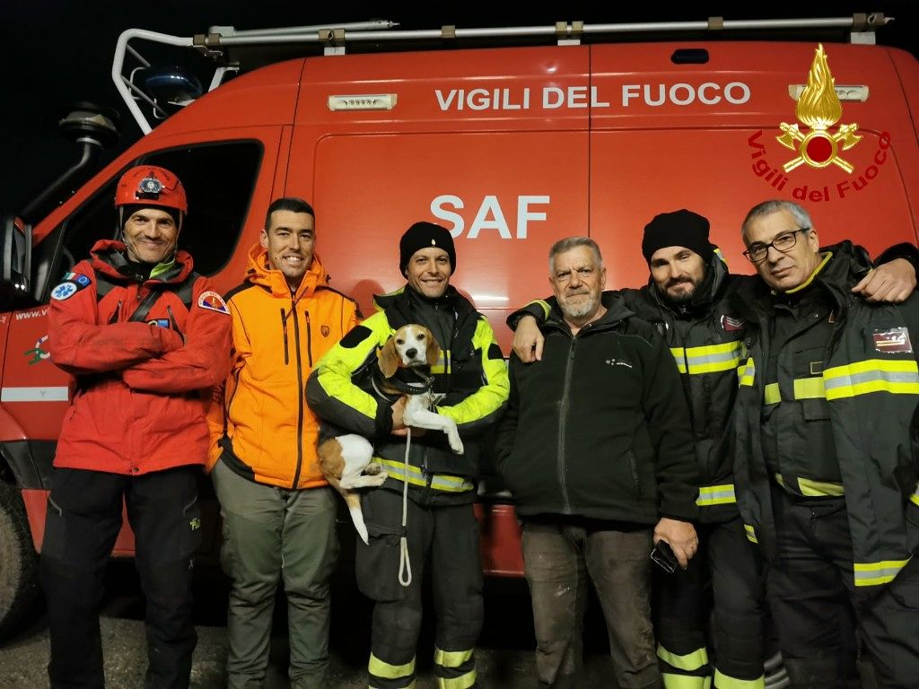 Siliqua, cane da caccia finisce in un dirupo: salvato dai vigili del fuoco