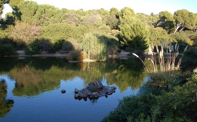 Vento fortissimo a Cagliari, chiusi i parchi di Monte Urpinu e Bonaria