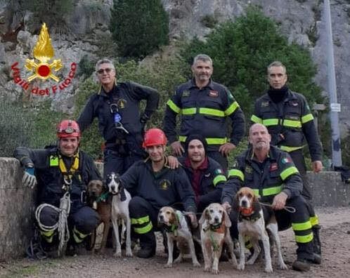 Buggerru, cinque cani da caccia finiscono in un dirupo: salvati dai vigili del fuoco – video