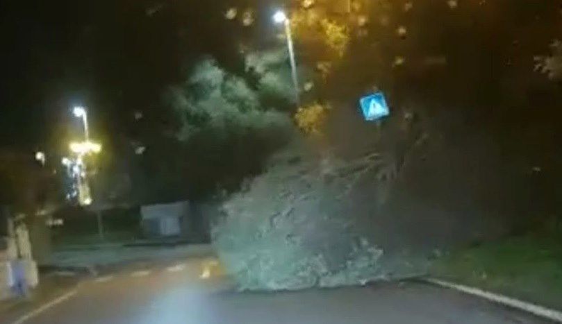 Raffiche di vento a 130 km/h, disagi in tutta la Sardegna: alberi crollati in strada a Sarroch