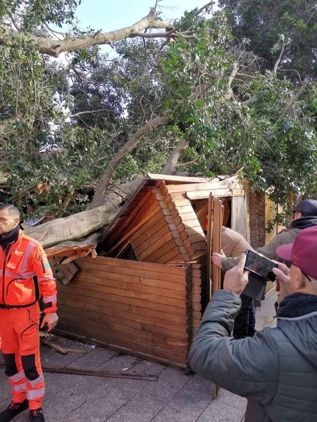 Tragedia sfiorata a Iglesias, grosso albero crolla sulle casette di Natale