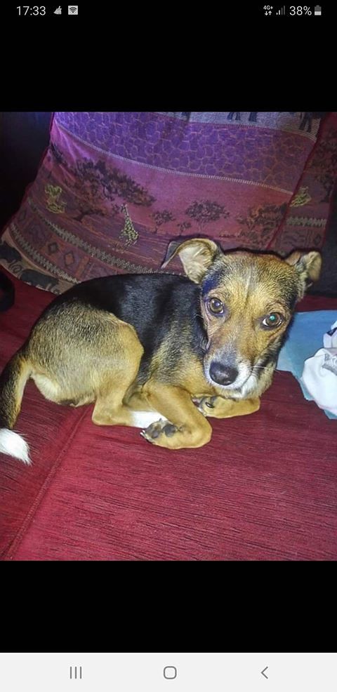 Cagliari, la bellissima Maya è scomparsa da Sant’Elia: chi l’ha vista?