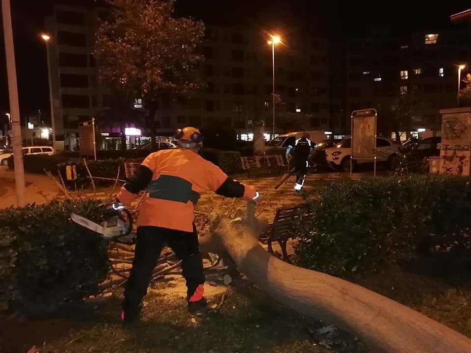 Bufera di vento a Quartu, alberi e cartelloni crollati: parchi e cimitero sbarrati sino a Natale