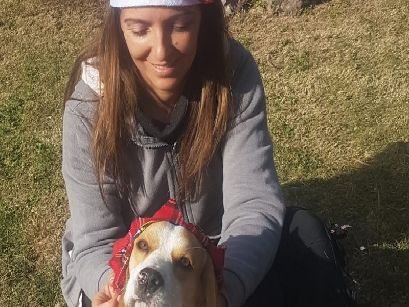 Quartu, Aron torna tra le braccia dei suoi padroni: “Ora riportateci l’altro cane”