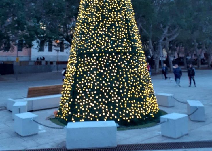 Cagliari, “liberato” l’albero di Natale in piazza Garibaldi: “Addio transenne e via ai selfie”