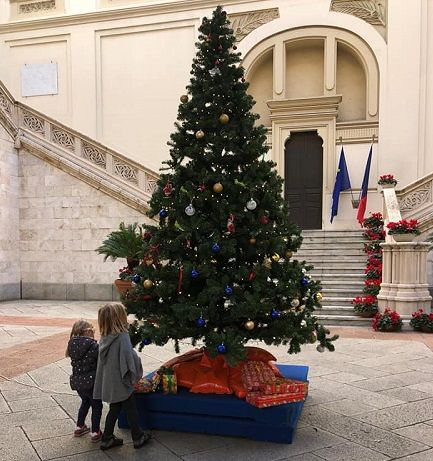 Ecco l’albero di Natale al Comune di Cagliari, l’appello di Truzzu: “Portiamo i doni per i più deboli”