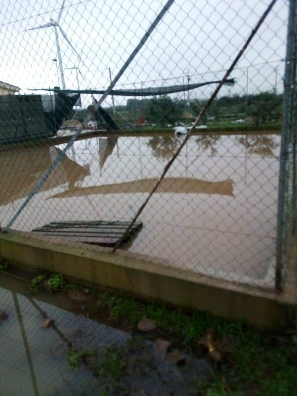 Villacidro, emergenza al canile: “Tutto allagato, servono coperte per i 170 cani”