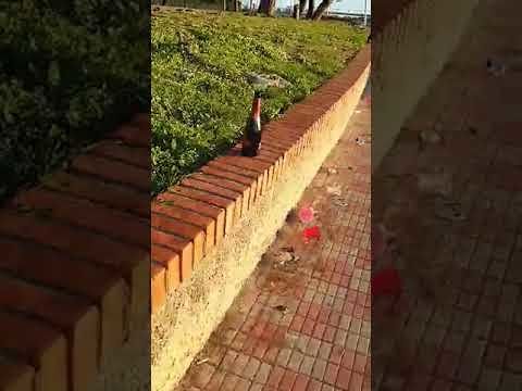 Cagliari, viale Europa deturpato dagli incivili nella notte di Natale dopo una festa alcolica: “Largo ai giovani, wow!” (VIDEO)