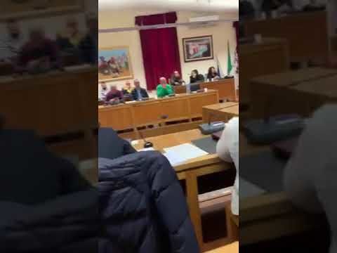 “Capra” alla consigliera comunale, caos al voto sulla cittadinanza alla Segre a Capoterra
