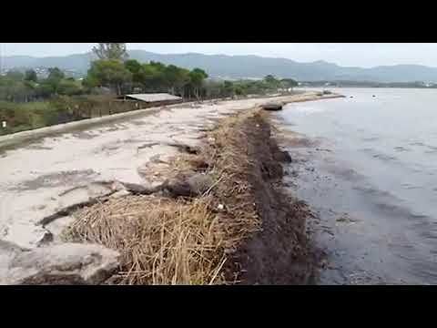 Flumini, il fiume ingrossato e il litorale invaso dalle canne: il VIDEO spettacolare realizzato col drone