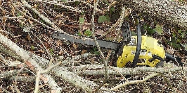 Ortacesus, sorpreso a rubare legna dalla casa cantoniera: nei guai 23enne di Selegas