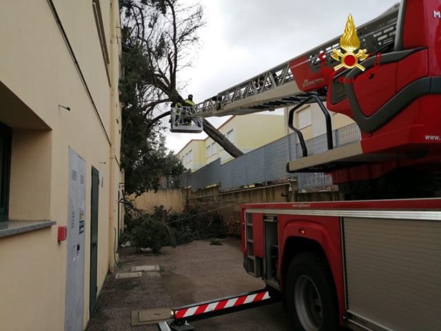 Maltempo in Sardegna, un grosso pino colpisce in pieno una casa di riposo