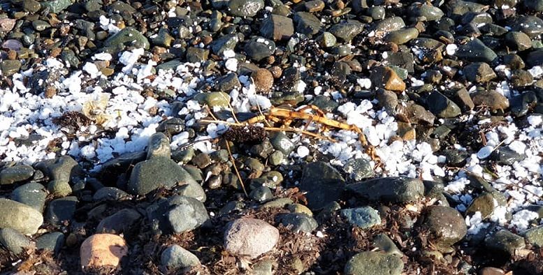Paraffina in mare a Sarroch, gli ecologisti: “Ennesimo incidente nel nome del dio petrolio”