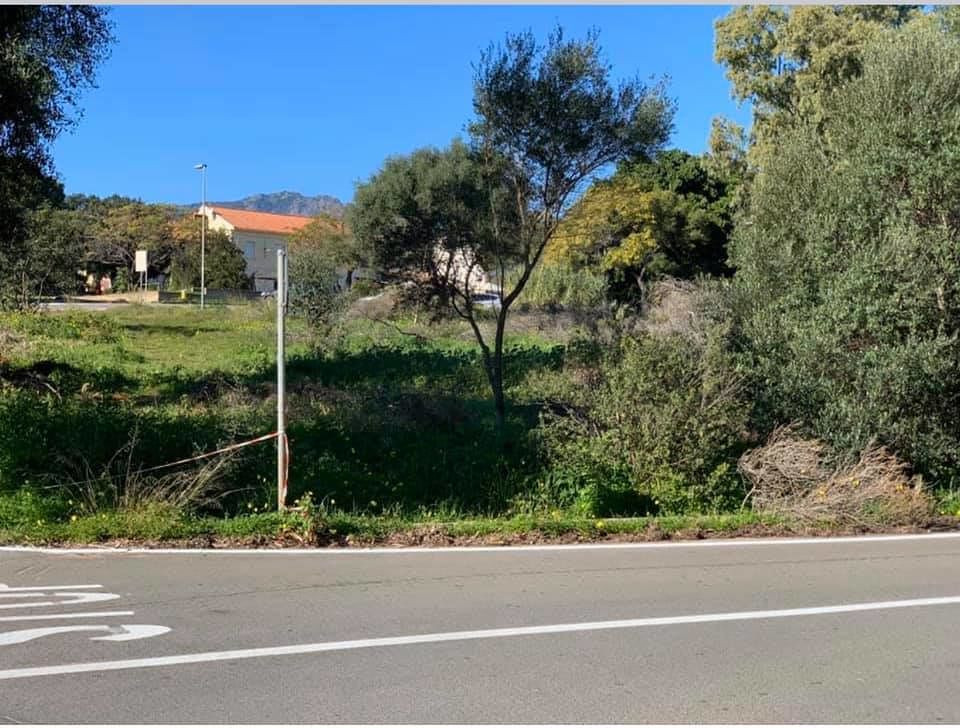 Un parco dell’acqua immerso nel verde di Poggio dei Pini: via libera della Giunta Dessì