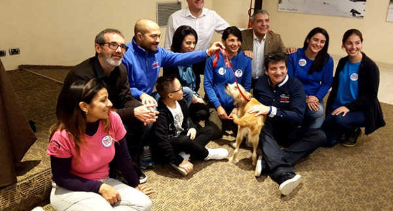 Ecco a voi Remy, il primo dolcissimo cane “allerta diabete” a Cagliari: dà l’allarme se il padrone va in iper o ipoglicemia