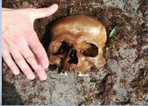 Macabra scoperta a Cagliari, trovato un teschio umano a Giorgino