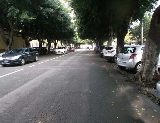 Cagliari, rivoluzione in viale Trieste: giù gli alberi ed ecco le piste ciclabili