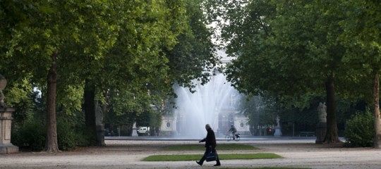 Lo smog si può combattere con le piante “mangia polveri”