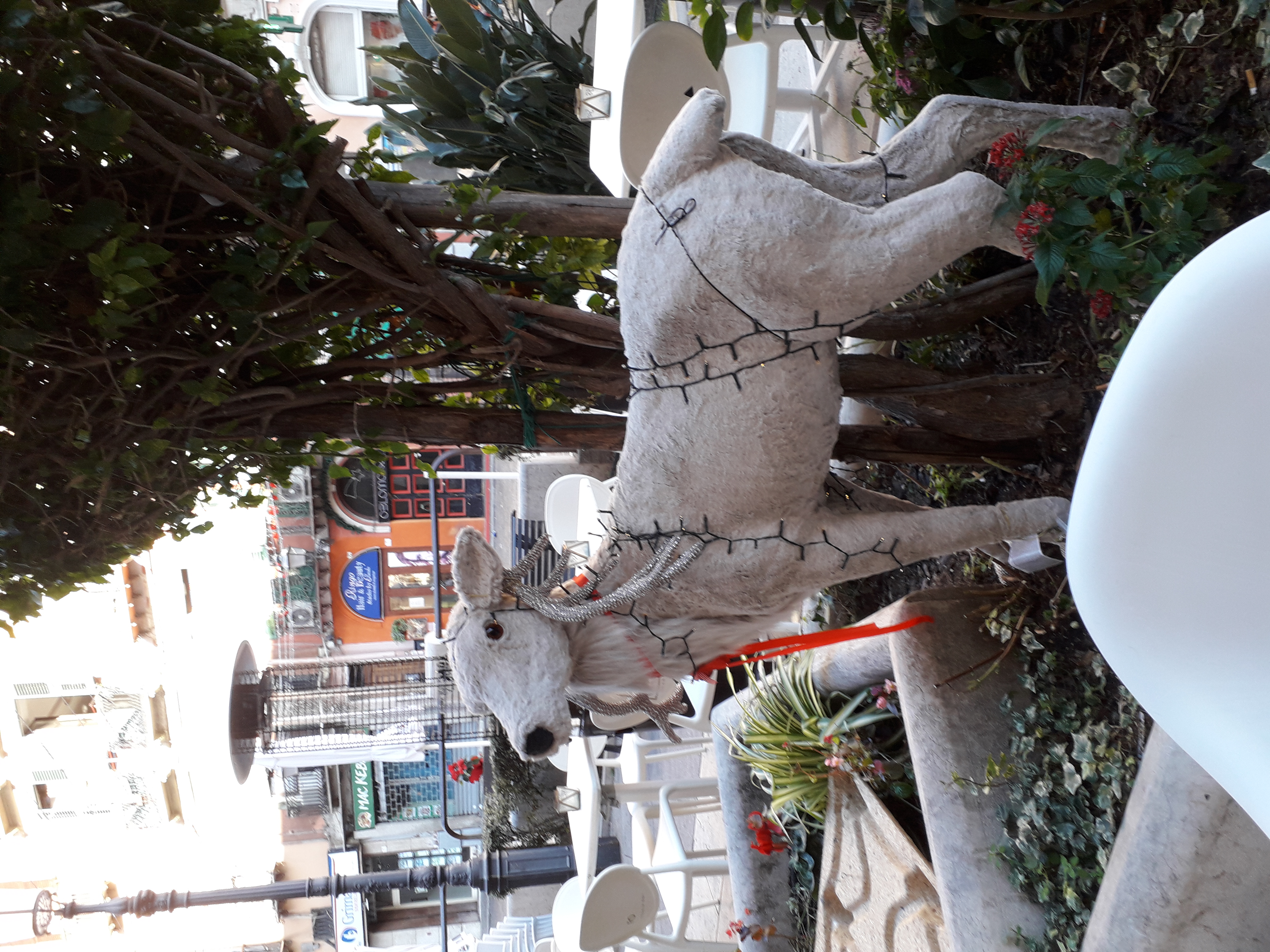 Cagliari, centro storico ridotto a immondezzaio dopo Capodanno: multe in arrivo, c’è chi getta anche le “capre”