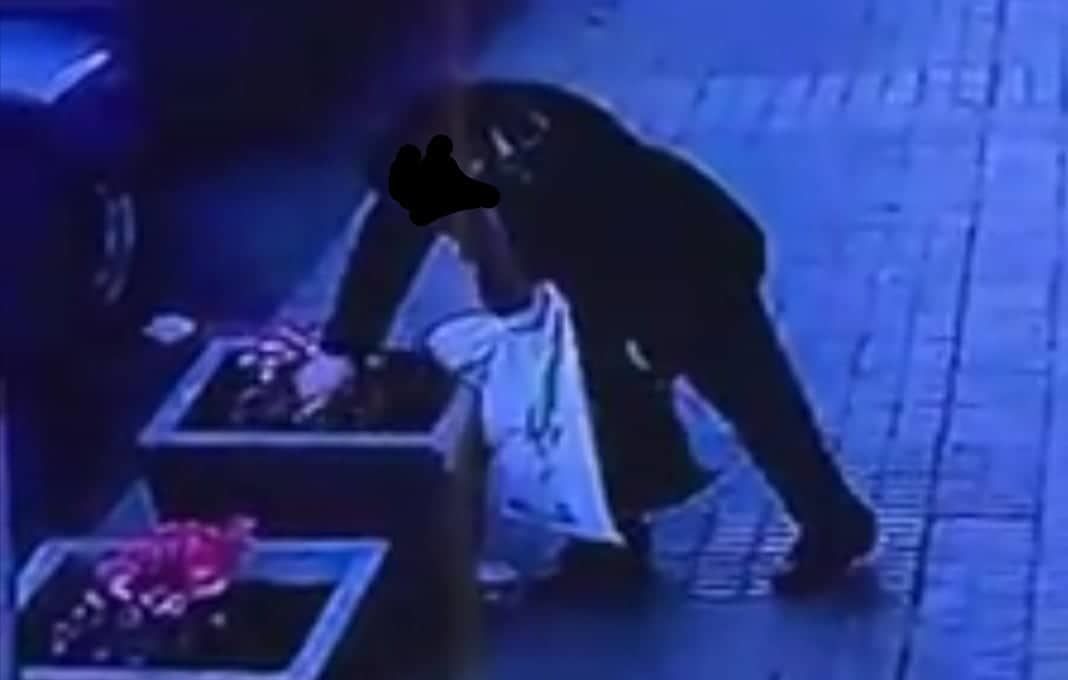 Cagliari, razzia di fiori in via Cocco Ortu: l’ottico pubblica il video della “ladra di ciclamini”